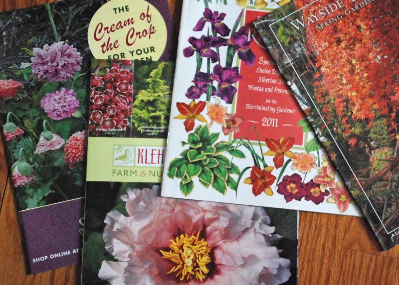 Quality garden catalogs will list the cold hardiness zone of trees, shrubs and perennials and usually include the U.S. Department of Agriculture’s Plant Hardiness Zone Map. SUBMITTED PHOTO